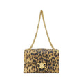 Celine Teen Victoire Shoulder