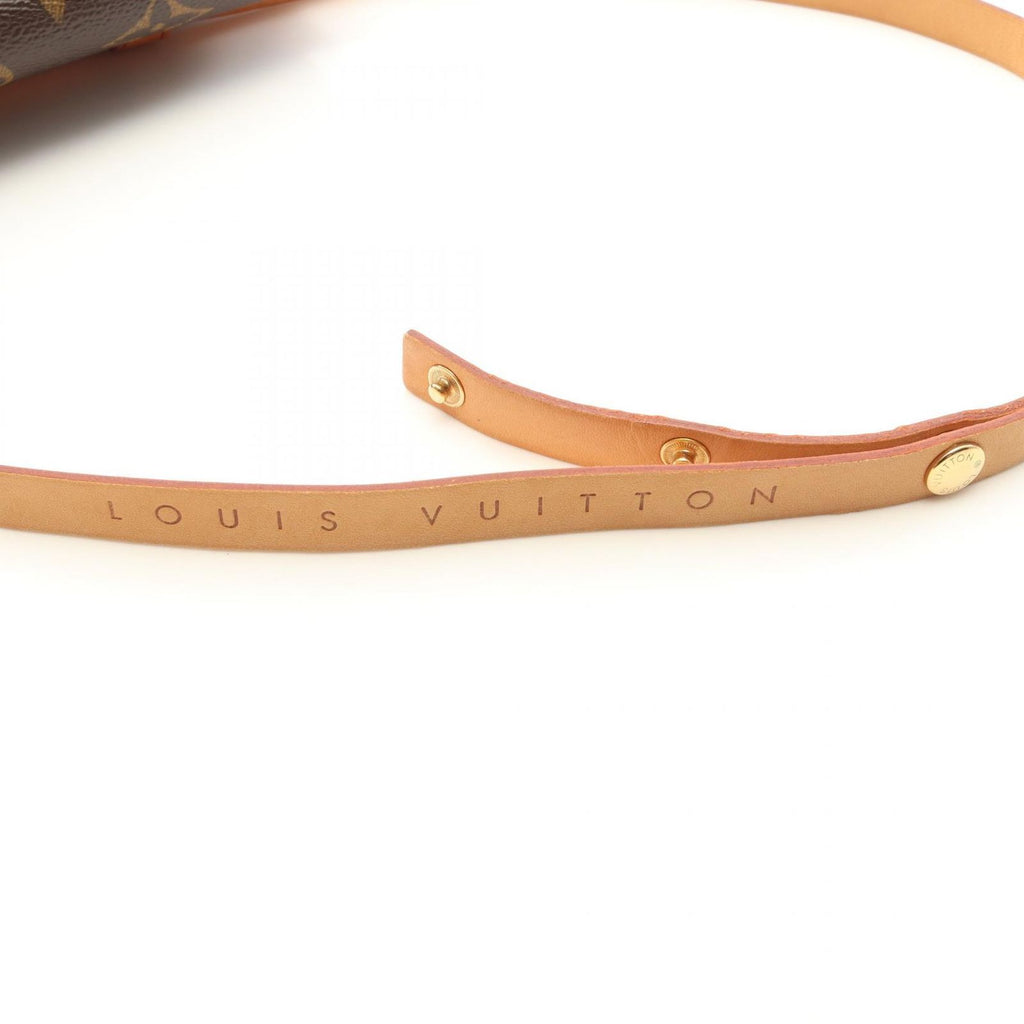 Louis Vuitton Waist Bag Pochette with Florentine Bouton Pression Canvas Leather — view 9