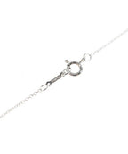 Tiffany & Co Necklace — view 3