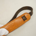 Louis Vuitton Shoulder Bag Monogram Danube Brown — view 9