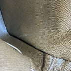 Louis Vuitton Monogram Amazon Shoulder — view 6