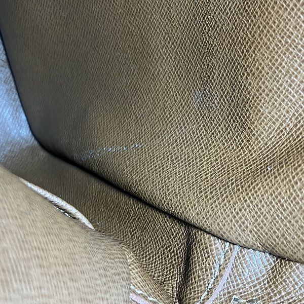 Louis Vuitton Monogram Amazon Shoulder — view 6