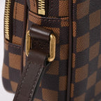 Louis Vuitton NIGO Now Amazon Shoulder Bag Damier Giant — view 6
