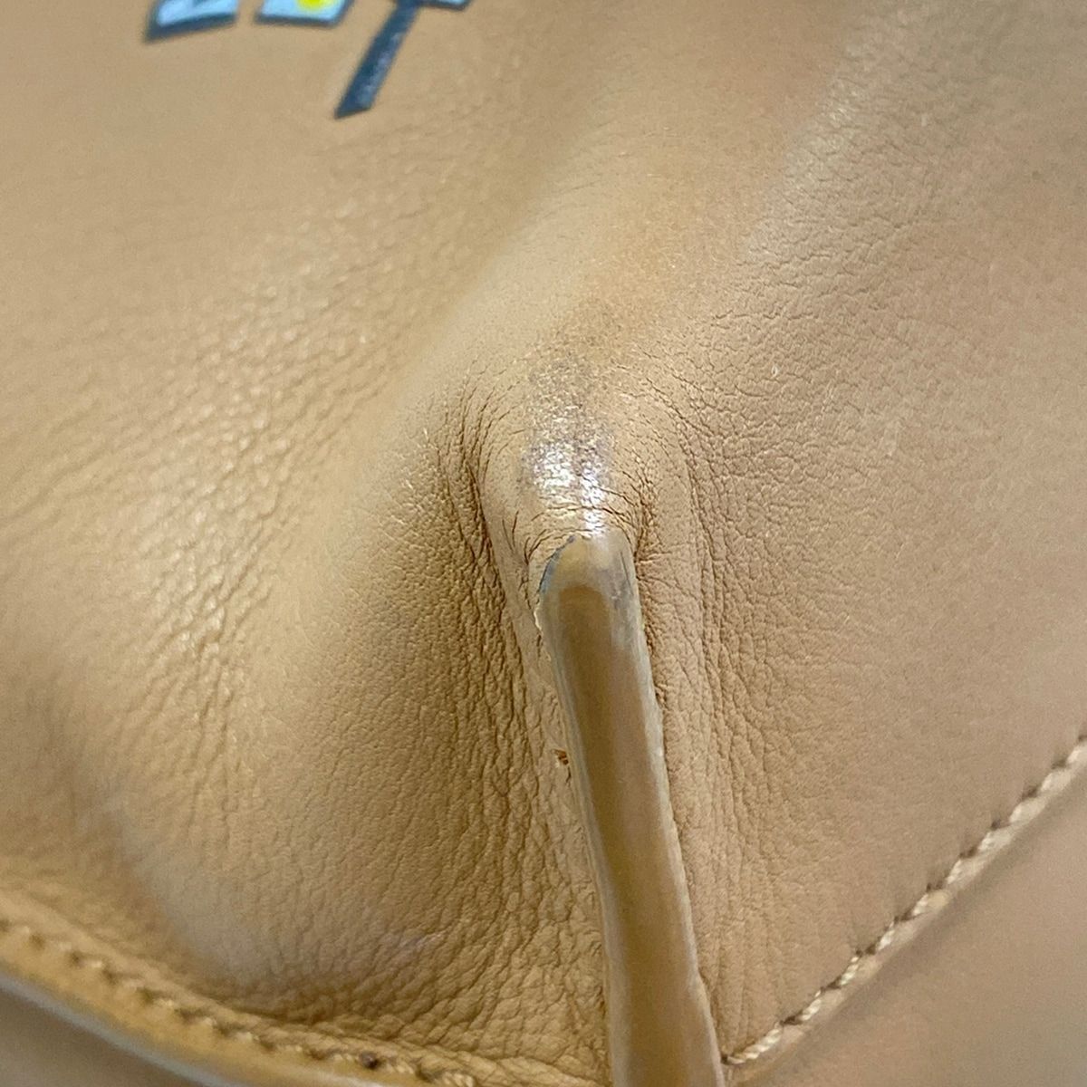 Loewe Clutch Cats Flamenco Mini Brown Multi Lewis Wayne Collaboration — view 6