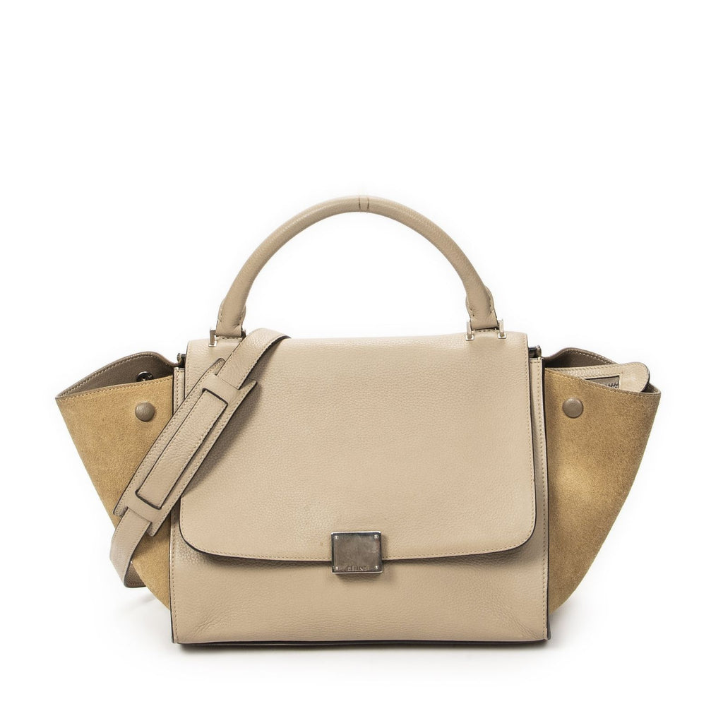 Celine Small Medium Swing Beige Gray Calfskin Leather Messenger