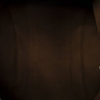 Louis Vuitton Keepall Brown Monogram Canvas — view 9