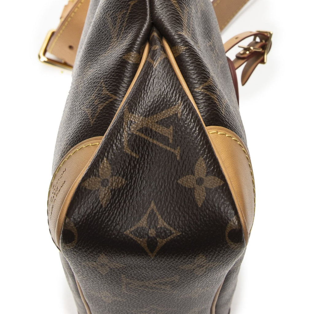 Louis Vuitton Odeon Brown Monogram Canvas Messenger — view 7