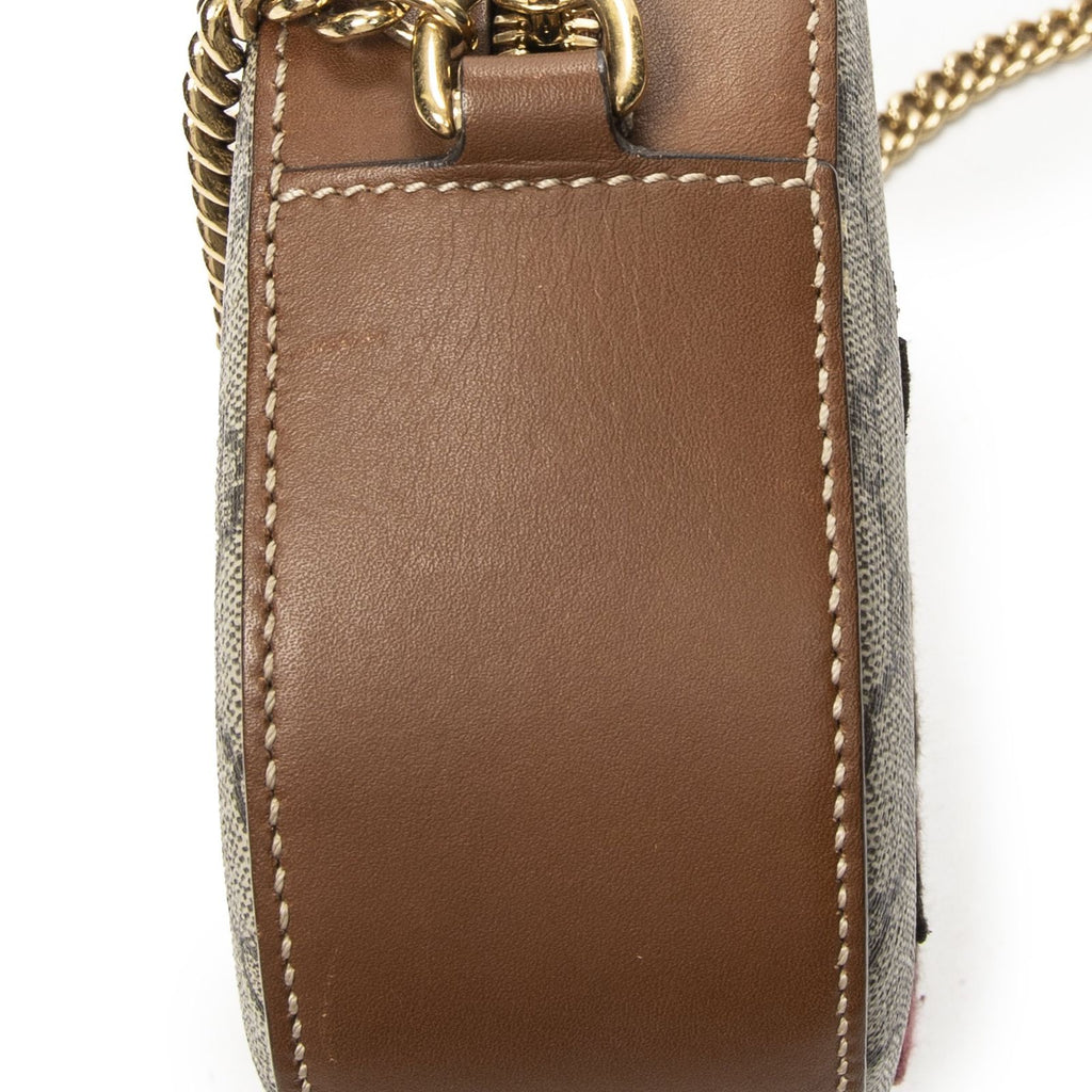 Gucci Chain Shoulder Beige Brown Tiger Embroidery Supreme Canvas Messenger — view 7