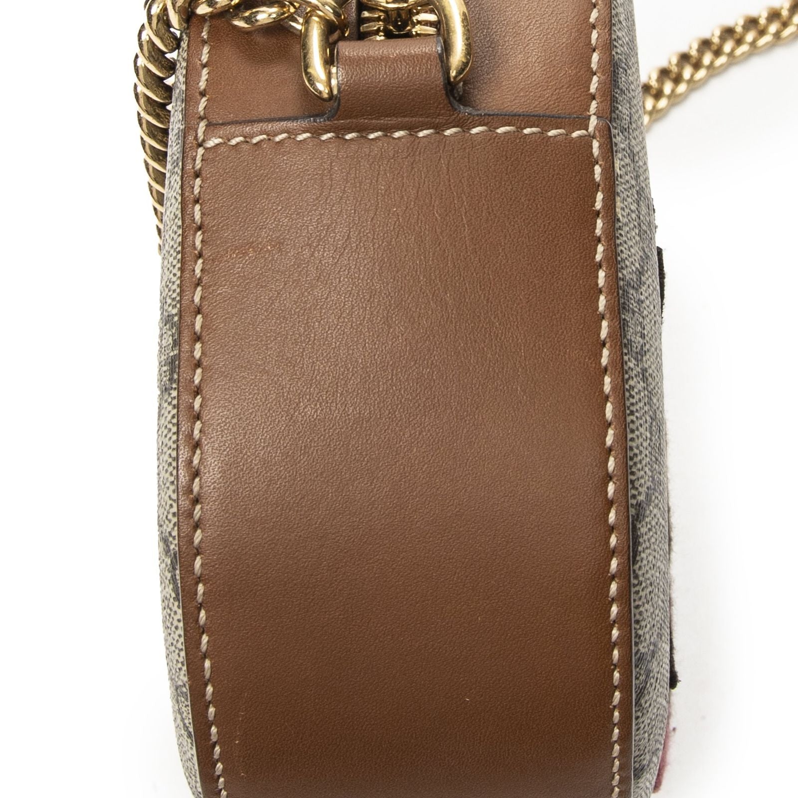 Gucci Chain Shoulder Beige Brown Tiger Embroidery Supreme Canvas Messenger — view 7