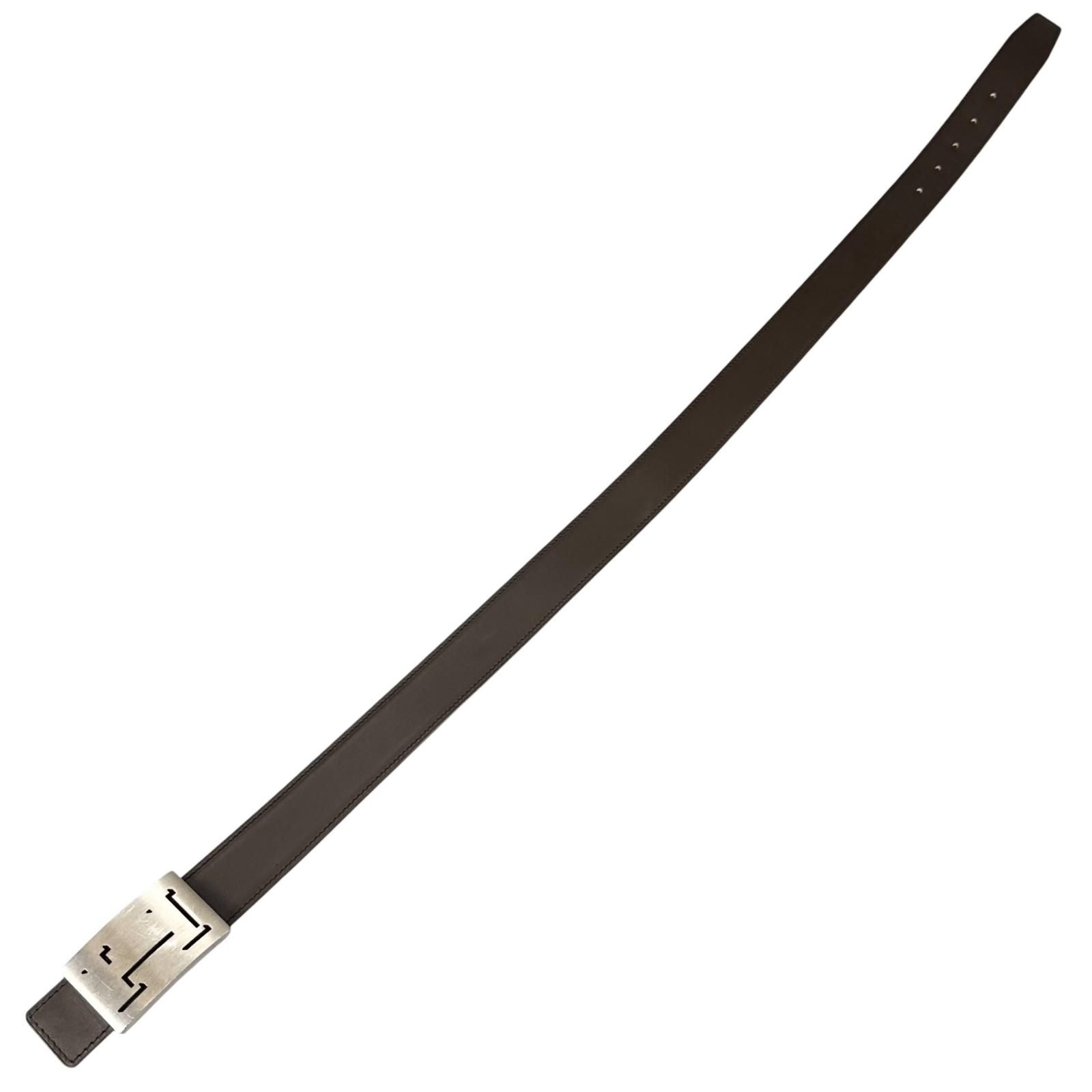 Hermes Belt Lucky Metal Leather Orange Dark Brown Silver — view 4