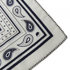 Hermes Carre Shawl Scarf — view 2