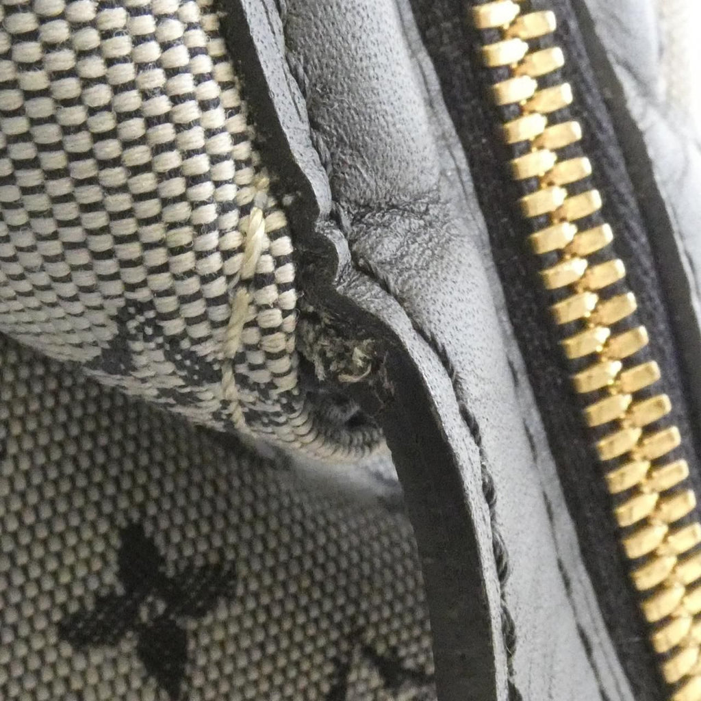 Louis Vuitton Monogram Mini Josephine PM — view 4