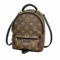 Louis Vuitton Backpack Monogram Palm Springs Mini Brown