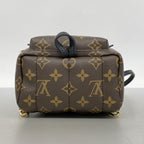 Louis Vuitton Backpack Monogram Palm Springs Mini Brown — view 3