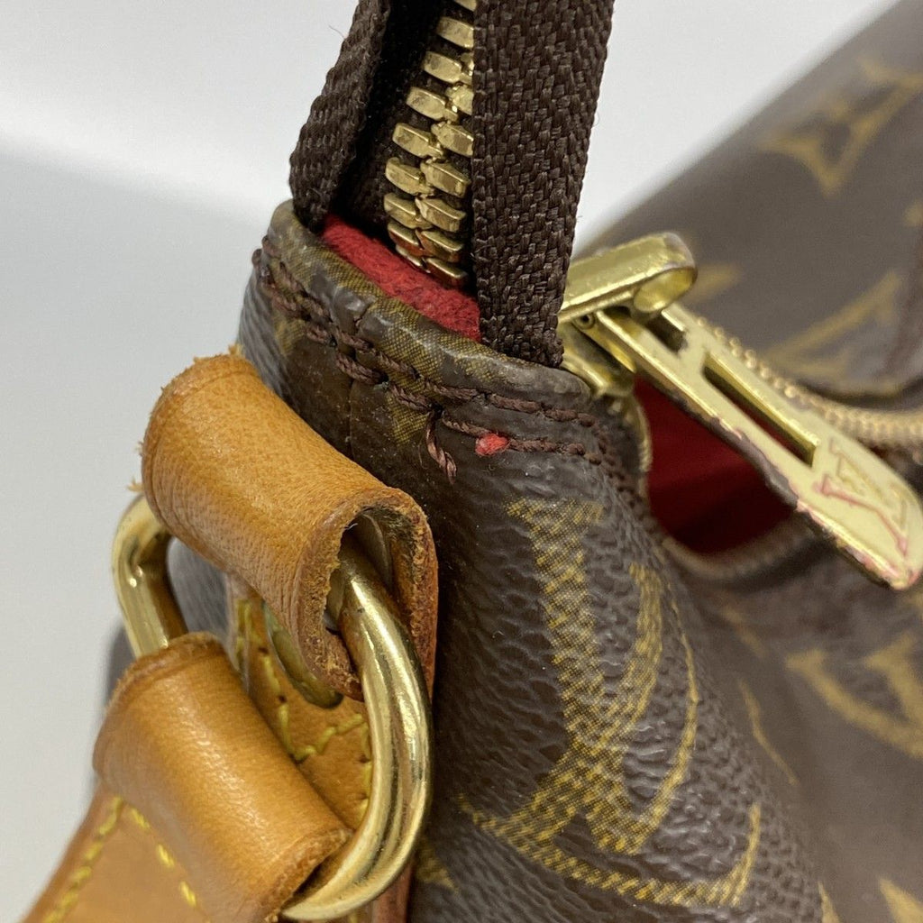 Louis Vuitton Shoulder Bag Monogram Amfar Three Brown — view 9
