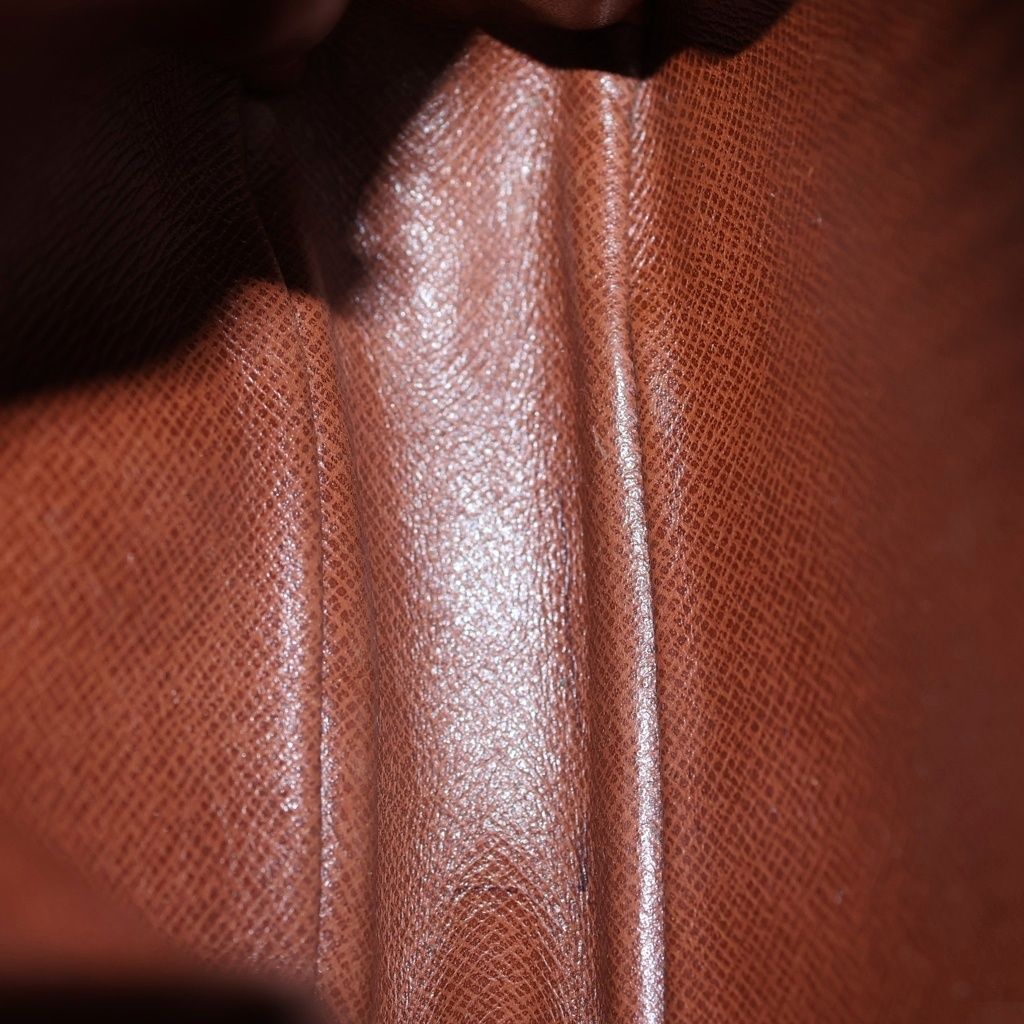 Louis Vuitton Mini Amazon Monogram Leather Shoulder Bag Gold Brown — view 5