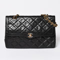 Chanel Quilted Double Flap Chain Shoulder Bag Limited Edition CC Logo Lambskin