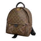 Louis Vuitton Backpack Monogram Palm Springs Brown Cles
