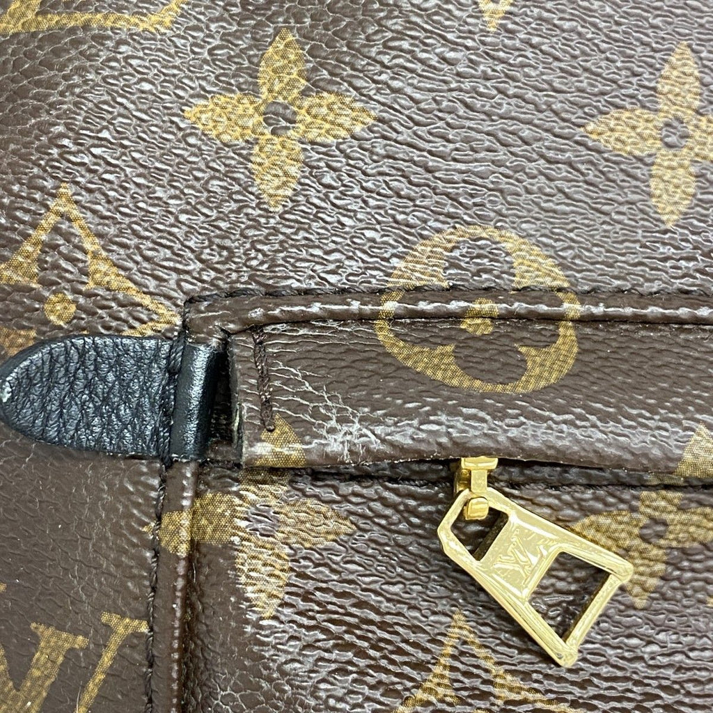 Louis Vuitton Backpack Monogram Palm Springs Brown Cles — view 9