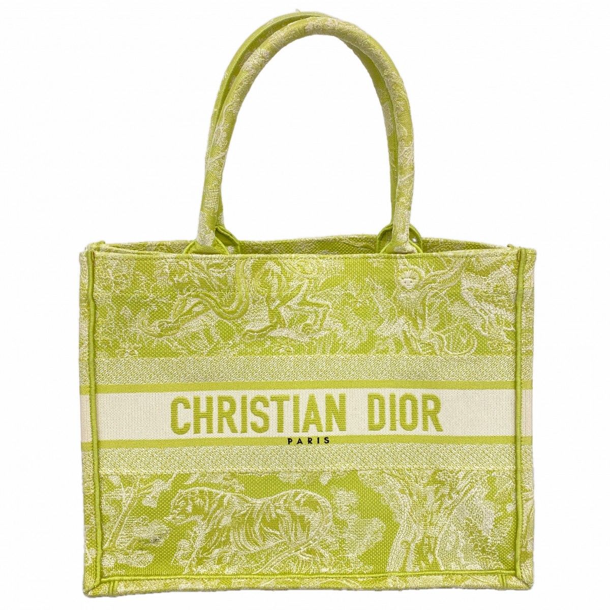 Dior Tote Book Canvas Light Green