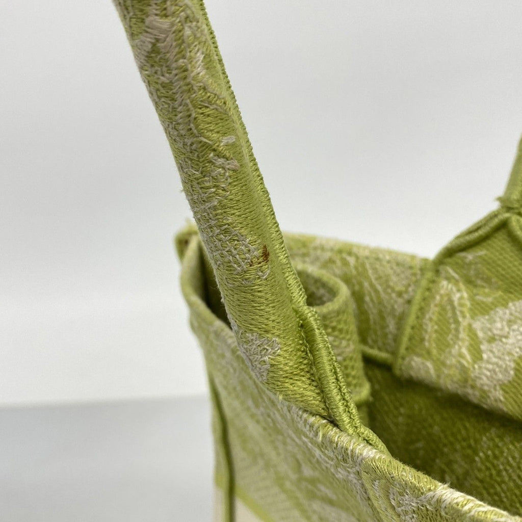 Dior Tote Book Canvas Light Green — view 9