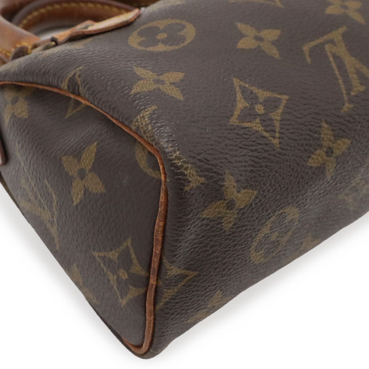 Louis Vuitton Monogram Mini Speedy Mini Bag Pouch Case — view 3