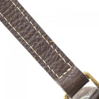 Louis Vuitton Monogram Mini Lin Danube Shoulder — view 7