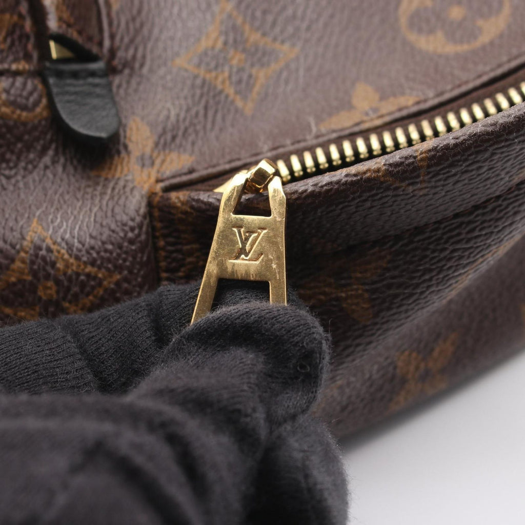 Louis Vuitton Backpack Palm Springs PM Canvas Leather PM — view 9