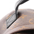 Louis Vuitton Backpack Palm Springs PM Canvas Leather PM — view 8