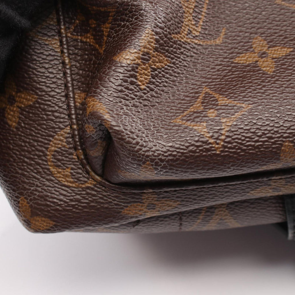 Louis Vuitton Backpack Palm Springs PM Canvas Leather PM — view 6