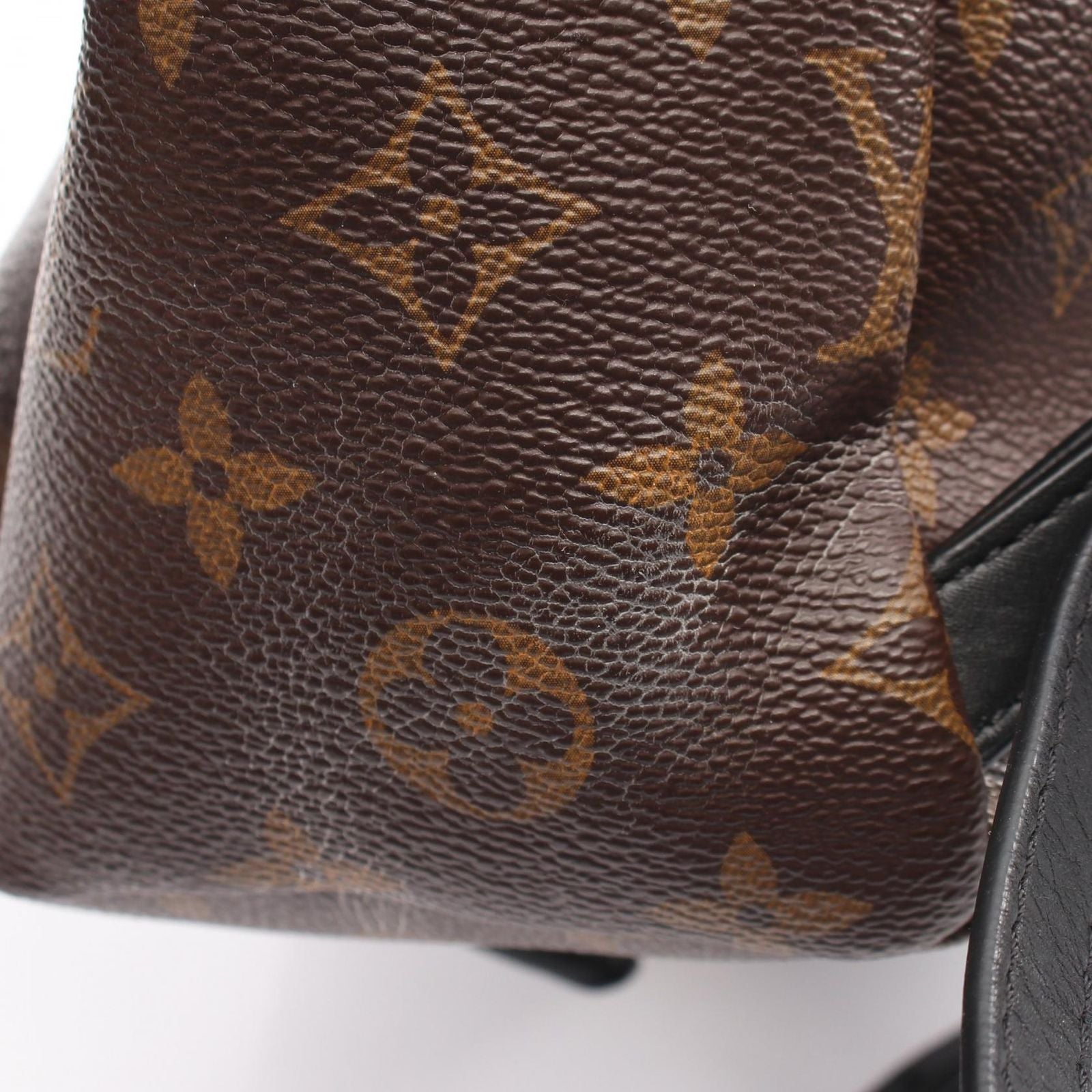 Louis Vuitton Backpack Palm Springs PM Canvas Leather PM — view 7