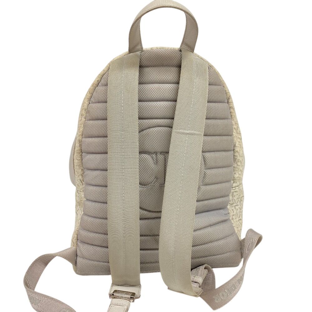 Dior Rider Oblique Backpack Trotter Purse White — view 2