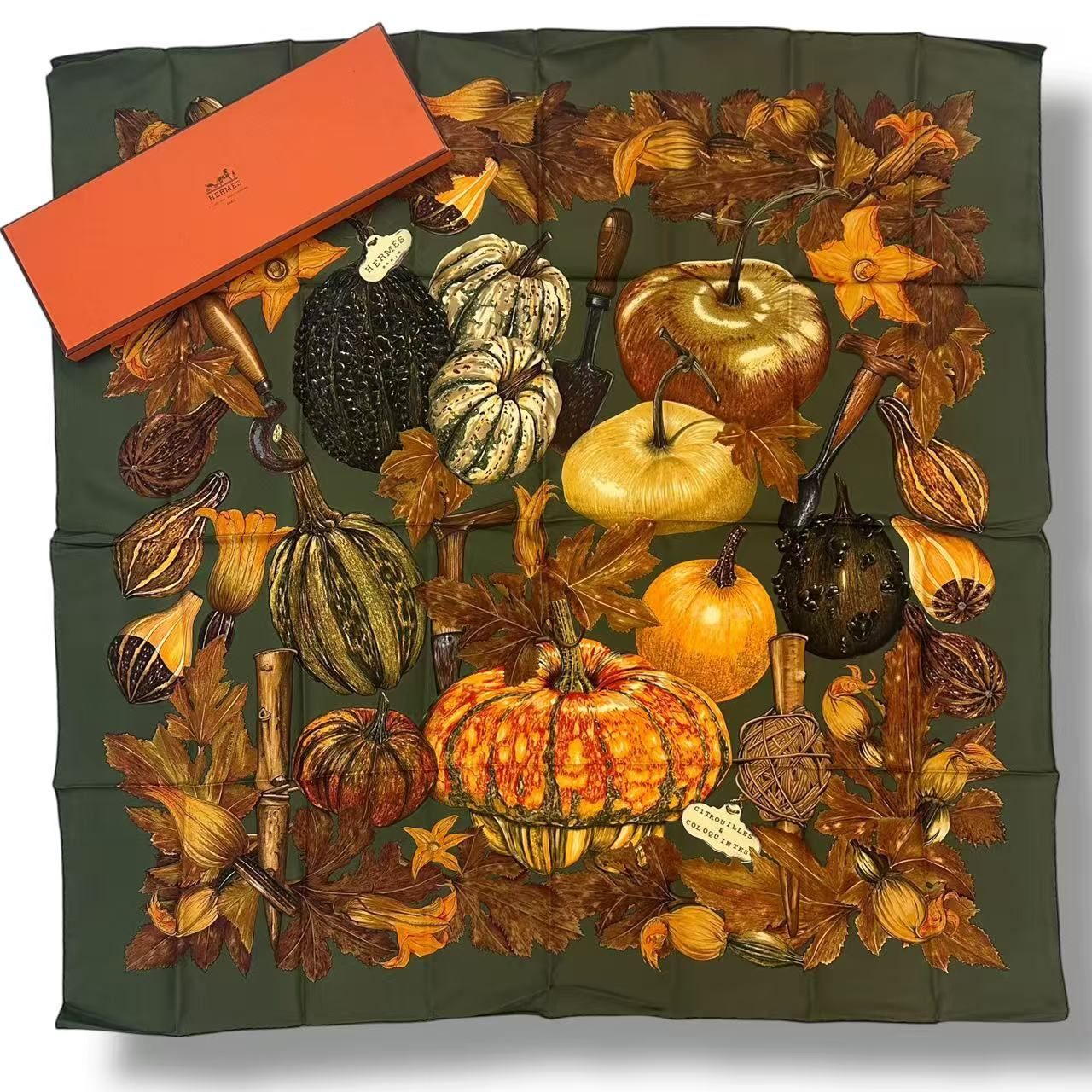 Hermes Carre 90 Scarf Silk Citrouilles Et Coloquintes Pumpkin and Colocint