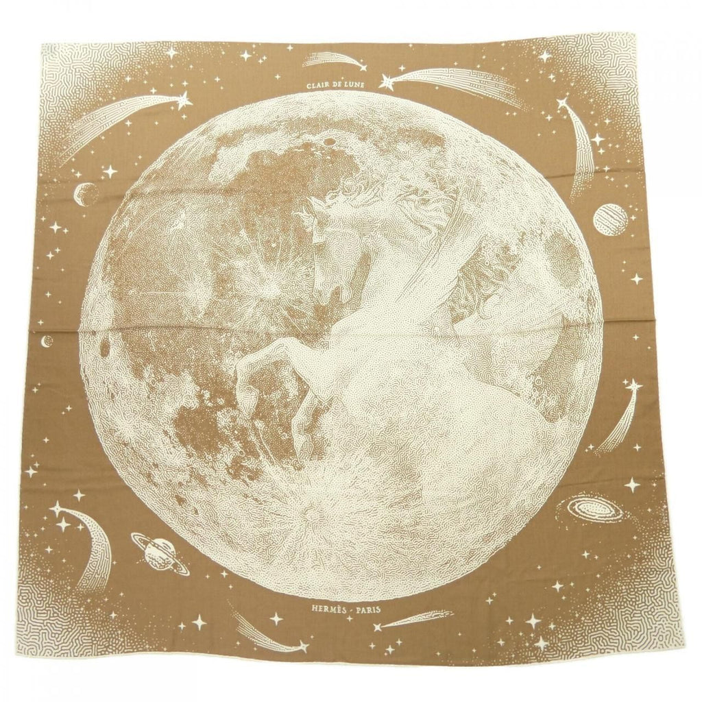 Hermes Carre Shawl Scarf