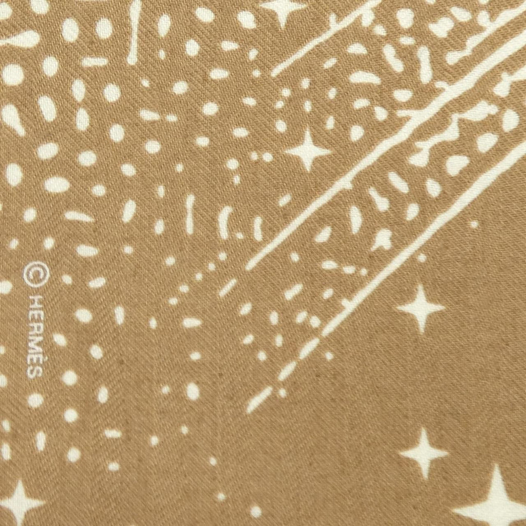Hermes Carre Shawl Scarf — view 4