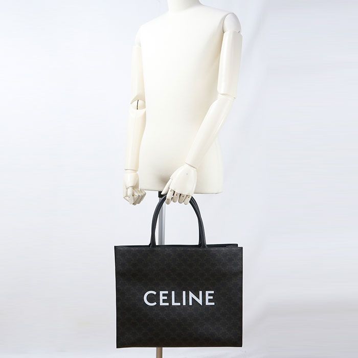 Celine Triomphe Canvas Tote — view 7