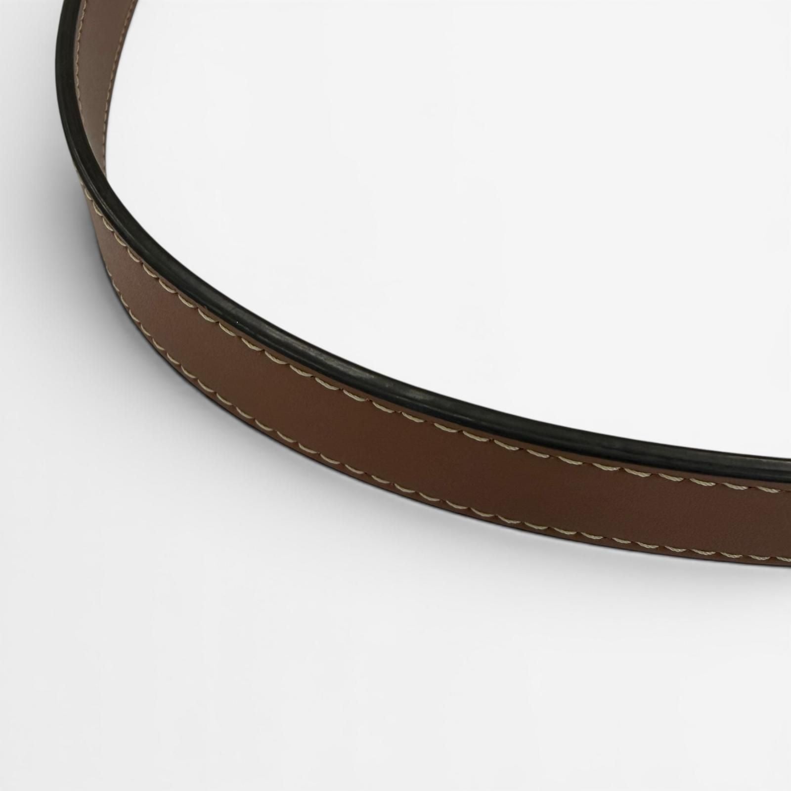 Celine Eloise Shoulder Bag Triomphe Canvas Brown — view 6