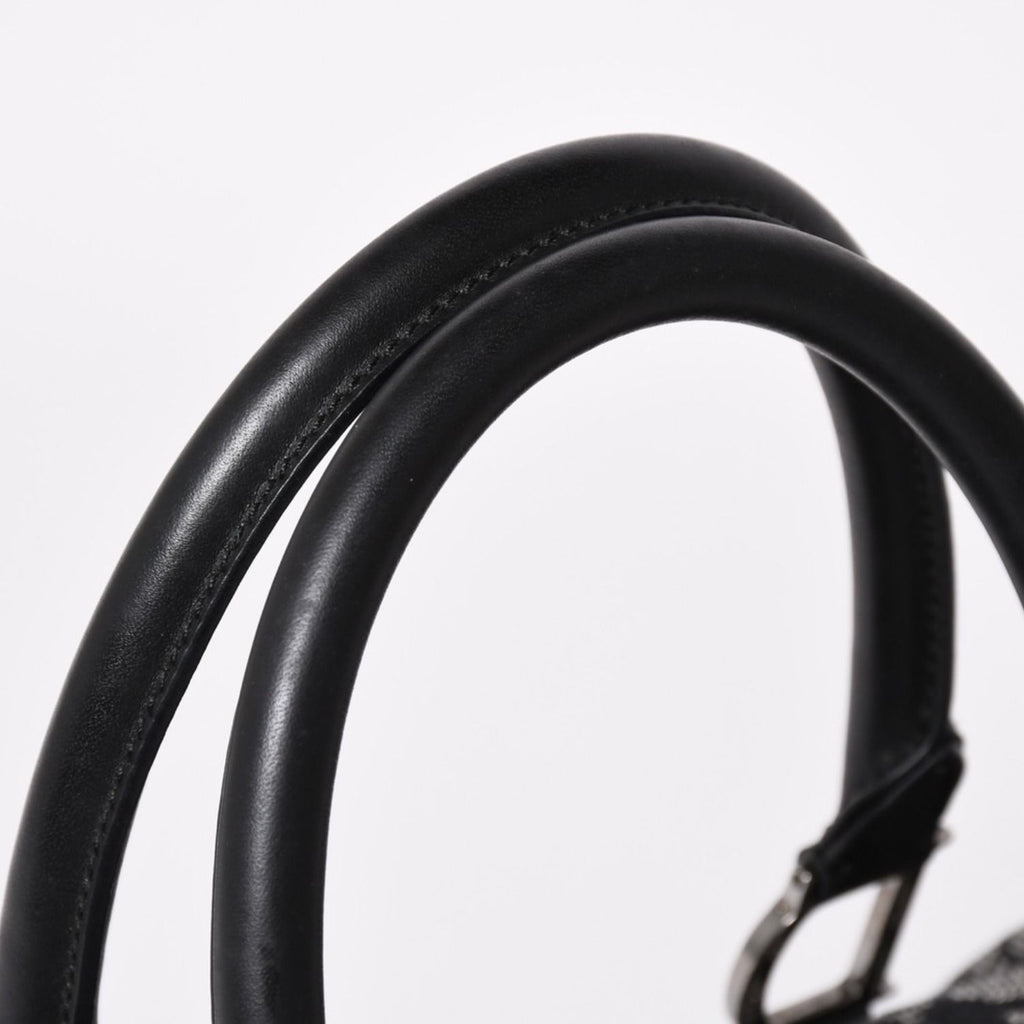 Dior Speedy 25 Handbag Trotter Black Silver — view 6