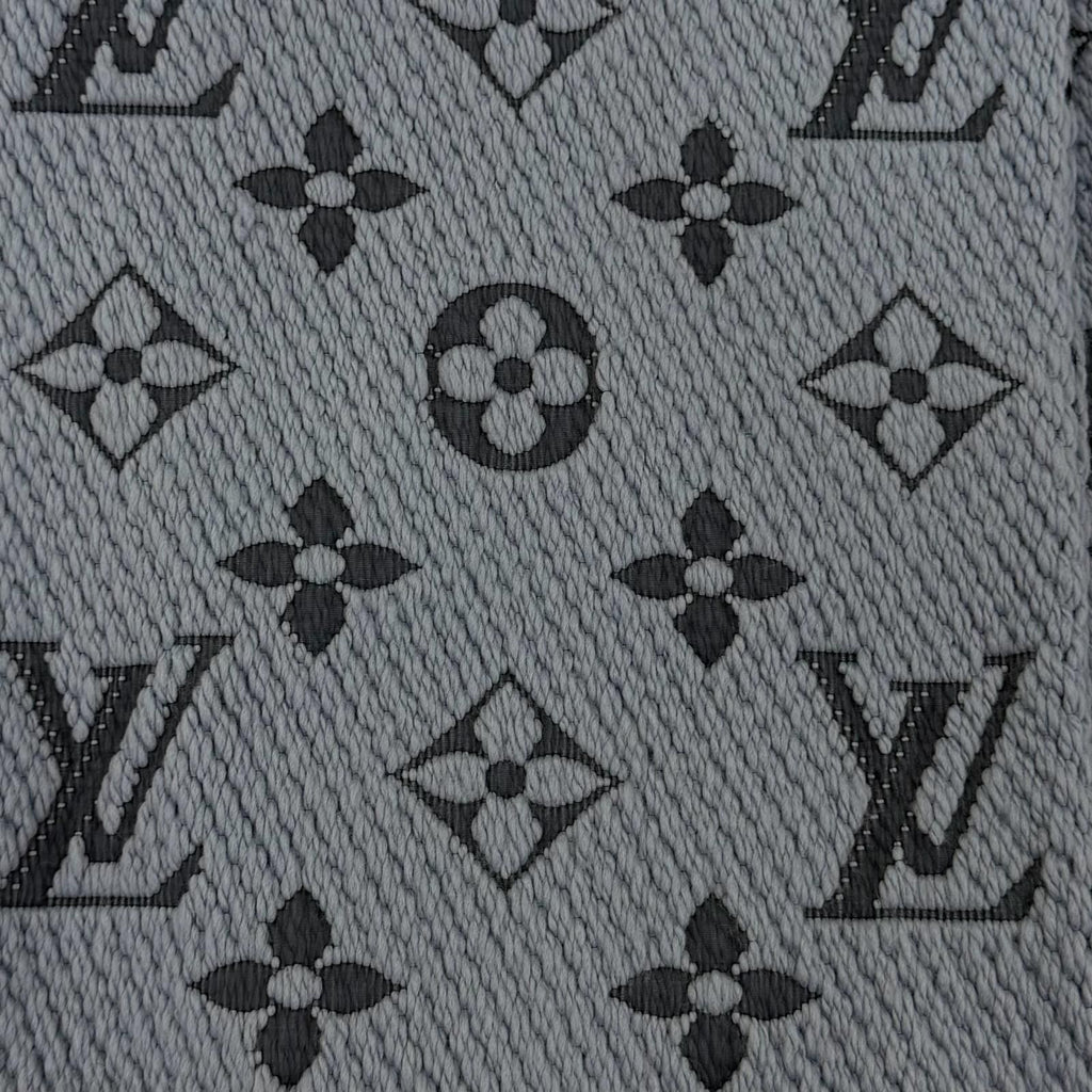 Louis Vuitton Echarpe Logo Mania Wool Silk Scarf with Fringe Blue — view 4