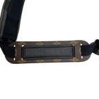 Louis Vuitton Beige LV Shield Face Transparent Shoulder — view 6