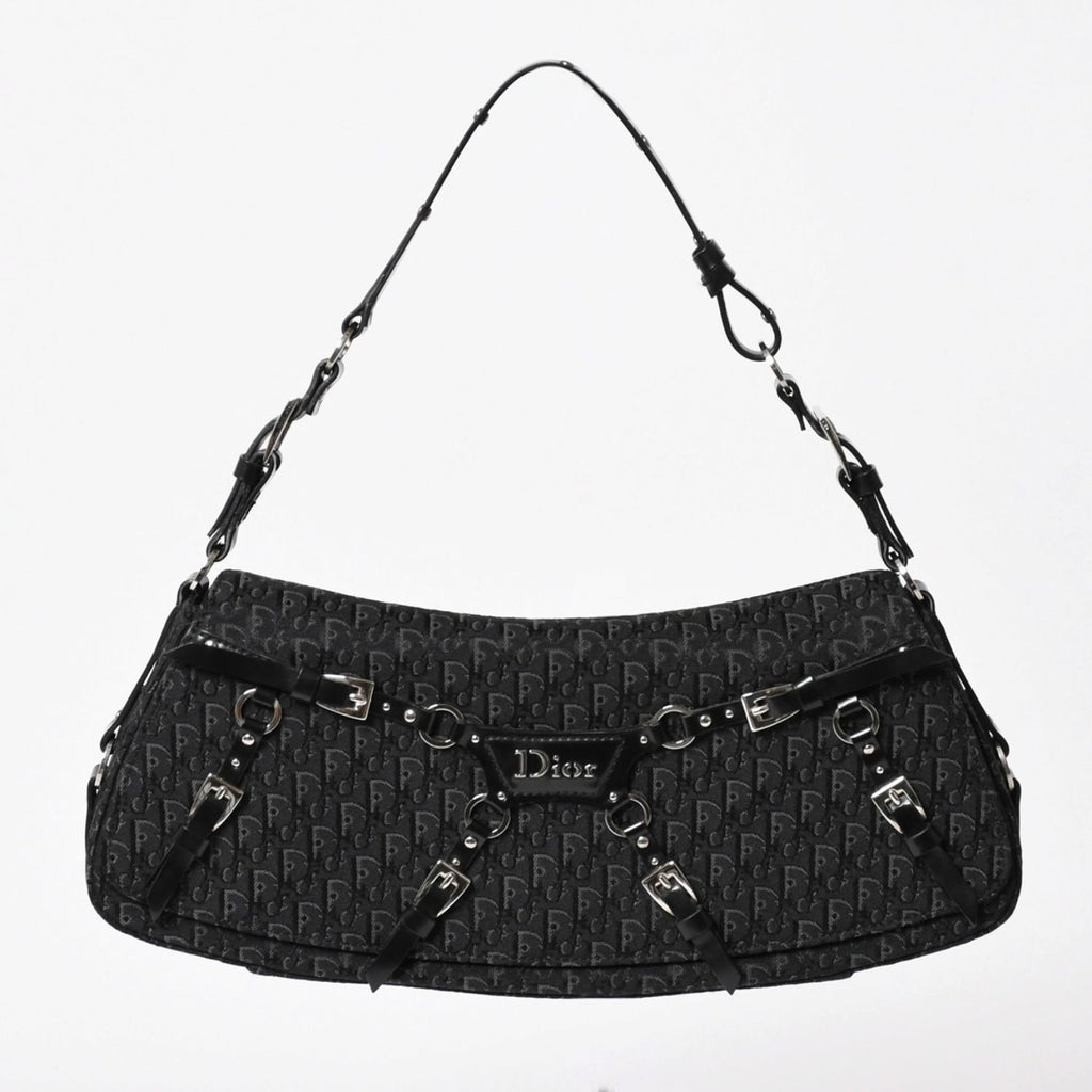 Dior Bondage Bag Trotter Pattern Galliano