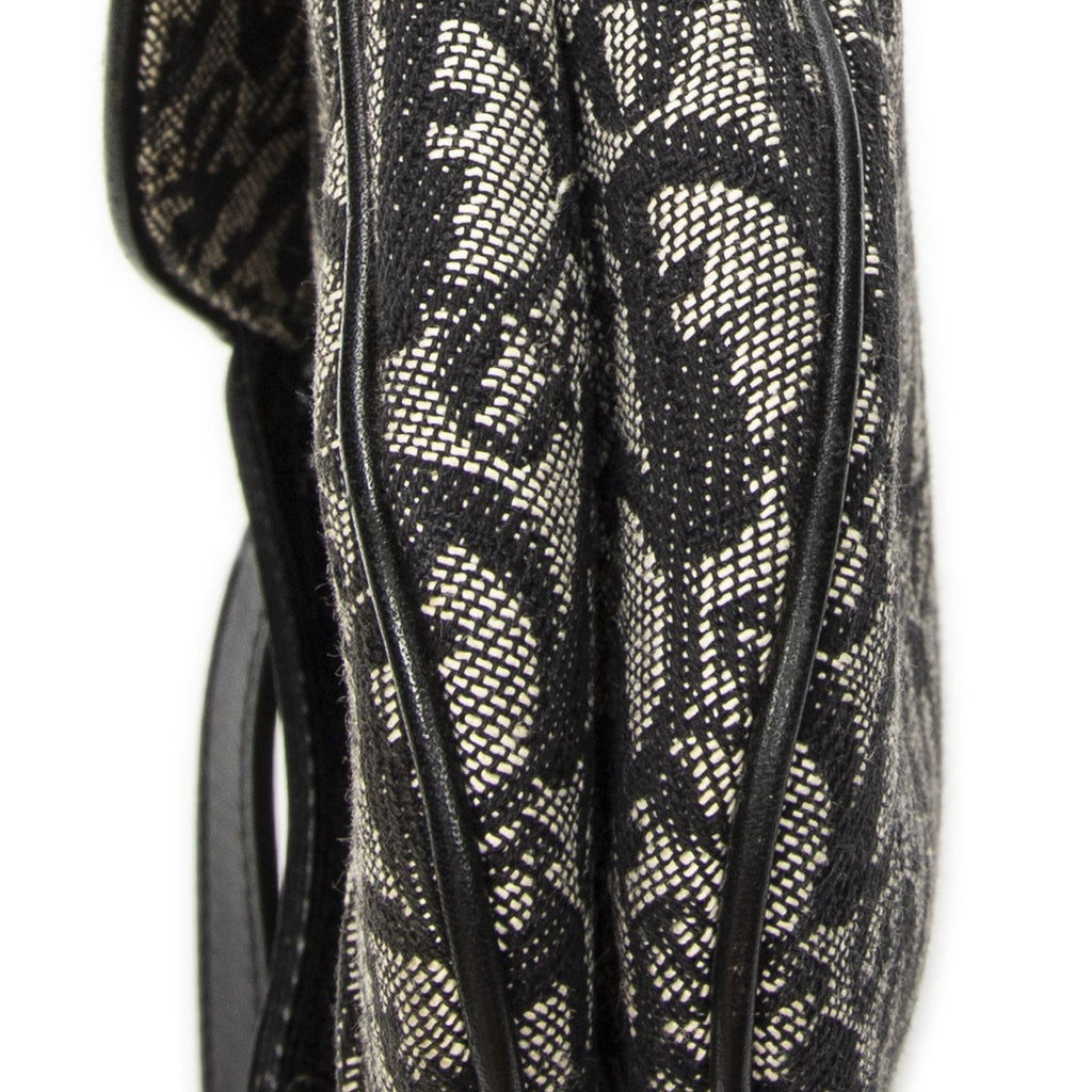 Dior Double Saddle Bag Black Beige Trotter Pattern Canvas — view 8