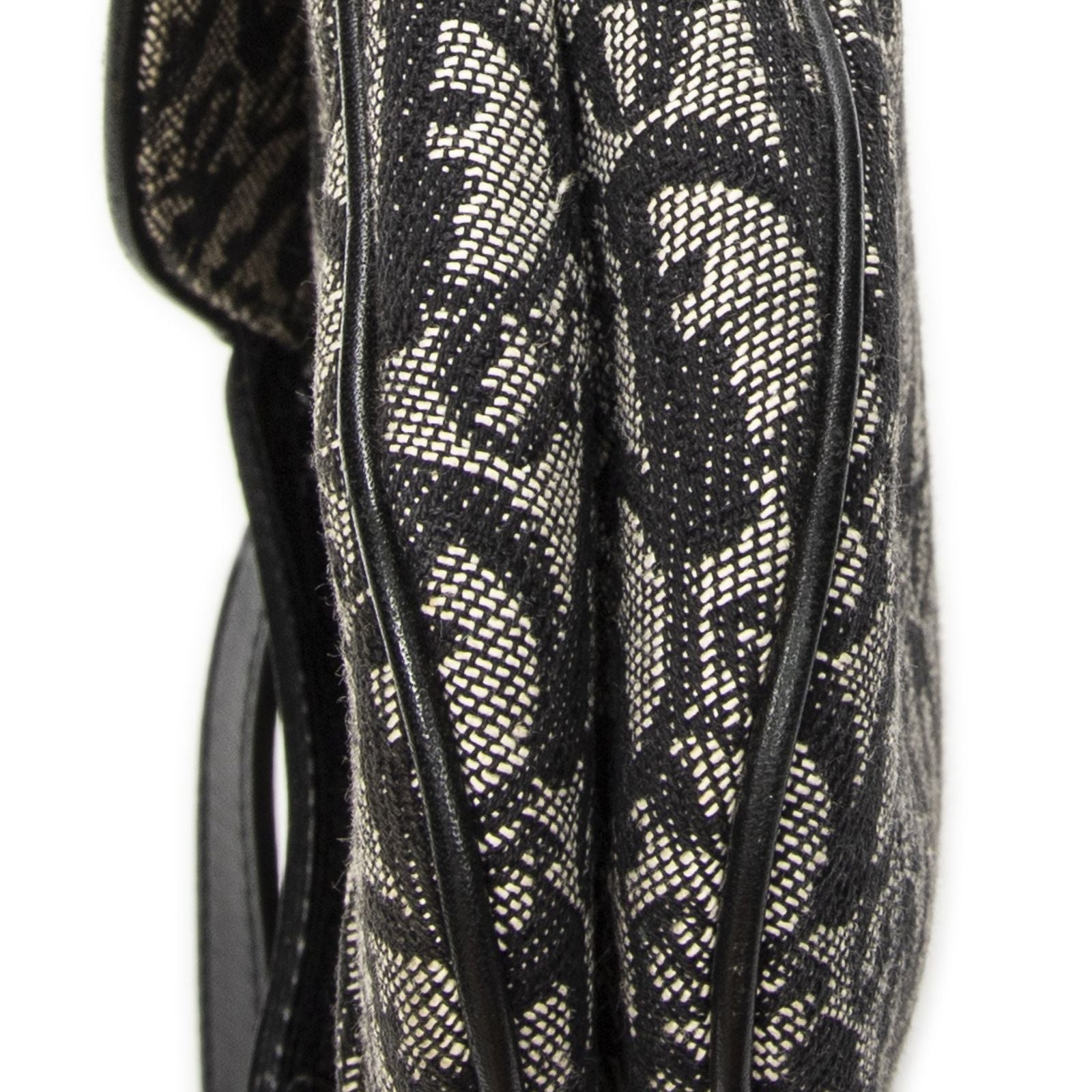 Dior Double Saddle Bag Black Beige Trotter Pattern Canvas — view 8