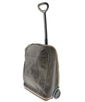 Louis Vuitton Carry Case Suitcase Travel
