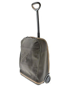 Louis Vuitton Carry Case Suitcase Travel