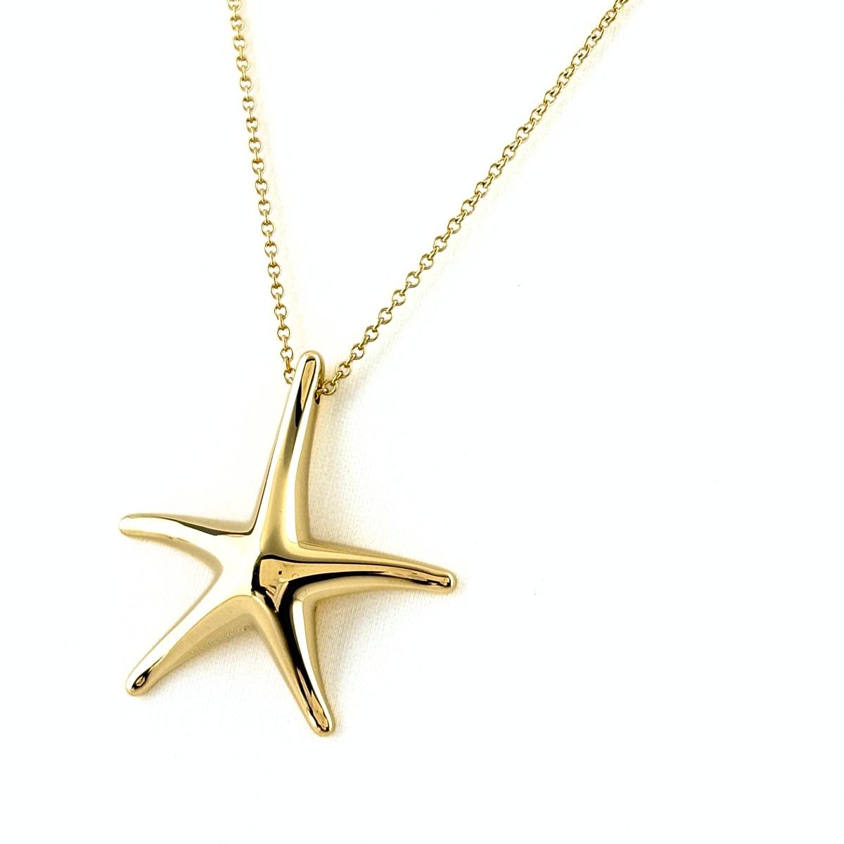 Tiffany & Co Star Fish Necklace YG Yellow Gold Pendant Starfish