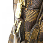 Louis Vuitton Damier Amazon Shoulder — view 5