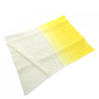 Hermes Dip Dye Orison Scarf