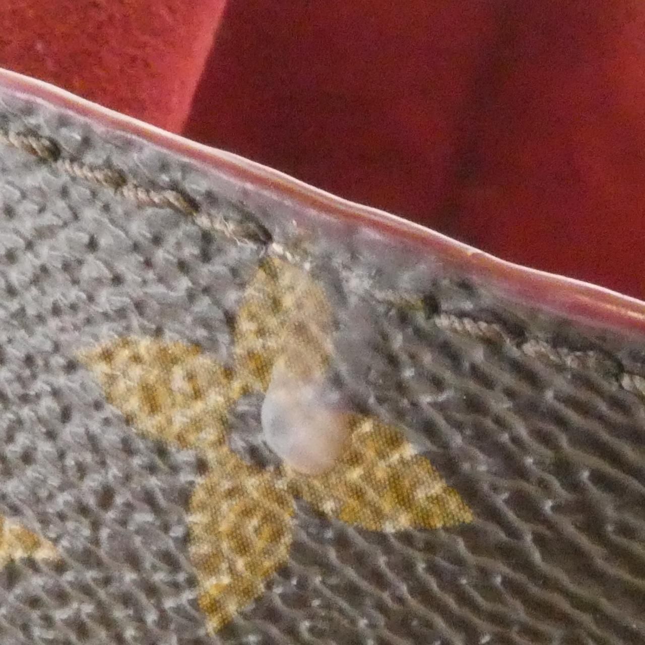 Louis Vuitton Monogram Idol GM Shoulder — view 4