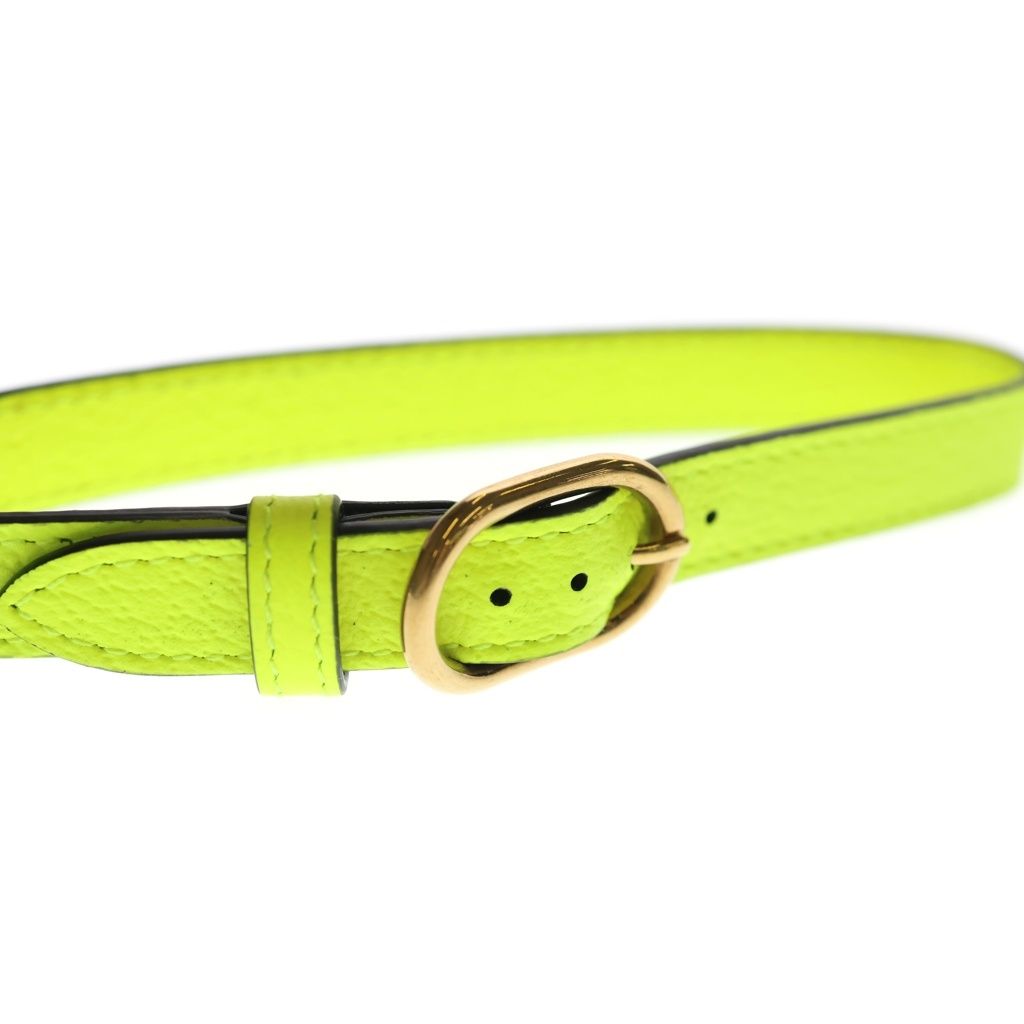 Gucci Diana Logo Leather Belt Yellow Set — view 5